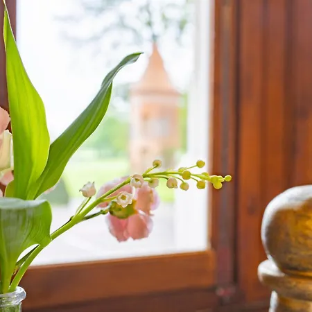 فندق Chateau De Tilly 4*